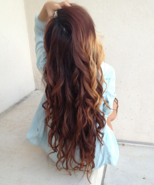 Fusion Extensions