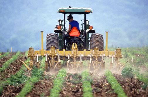 small-farm-tractors