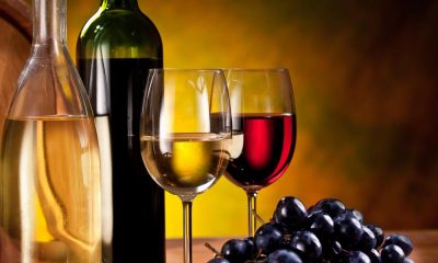 Benefits of Wines