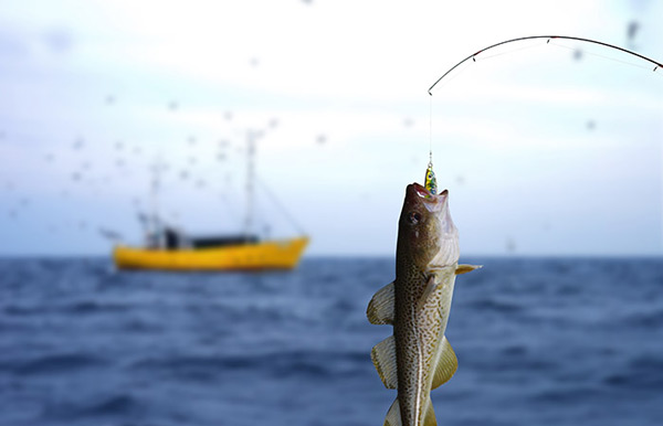 Fishing-Videos-Online