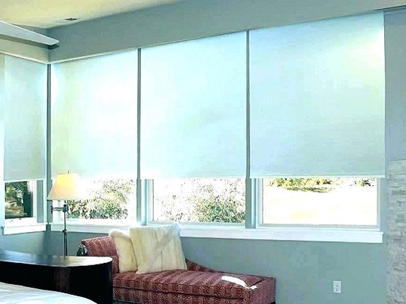 type of paper blinds that would work best