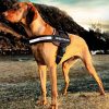 Ezydog Harness