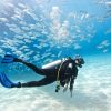 Scuba Diving Equipment Australia