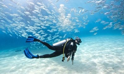 Scuba Diving Equipment Australia