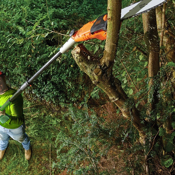 Tree-Trimming-Pruning