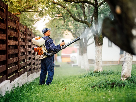 Farmer worker spraying pesticide treatment on fruit garden