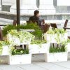 Urban Self-watering Planters