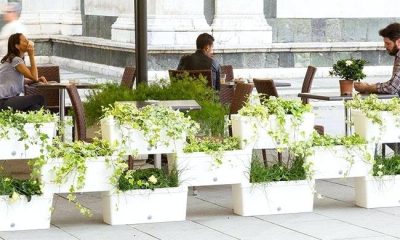 Urban Self-watering Planters