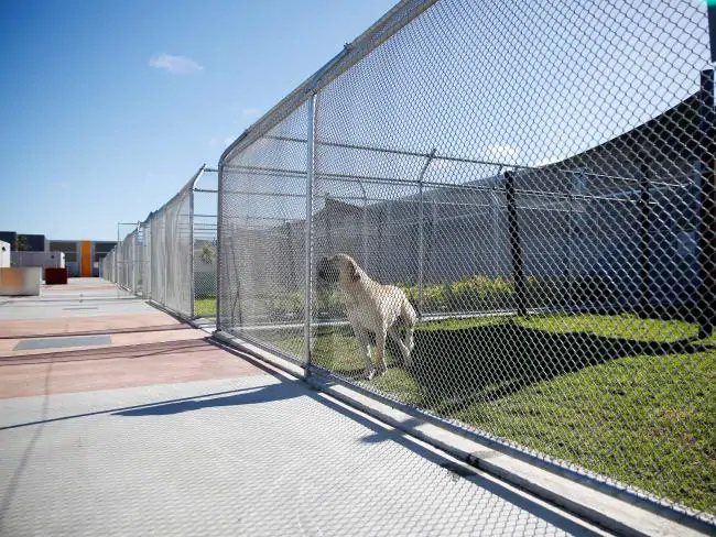 animal quarantine Melbourne