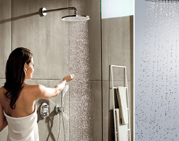 Shower Head & Extension Arm