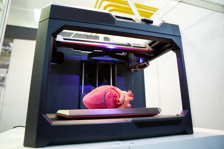 Printed human heart