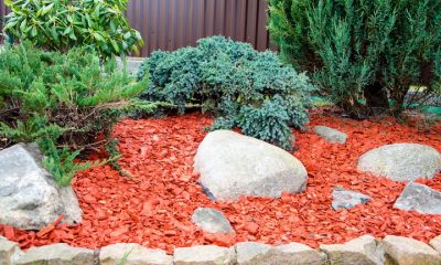 wood chips in garden