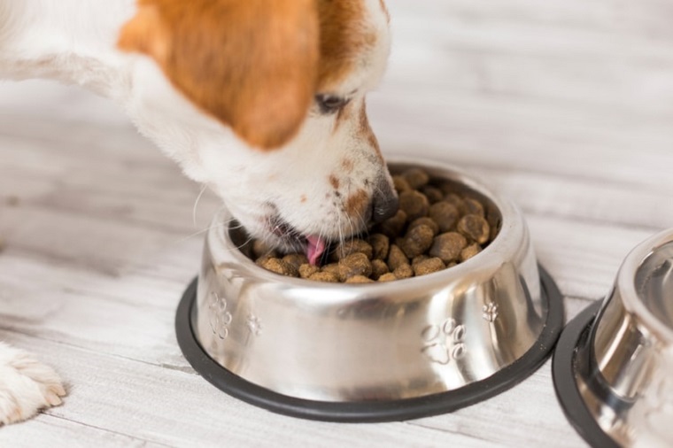 high-quality pet foods