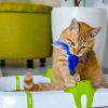pet supplies
