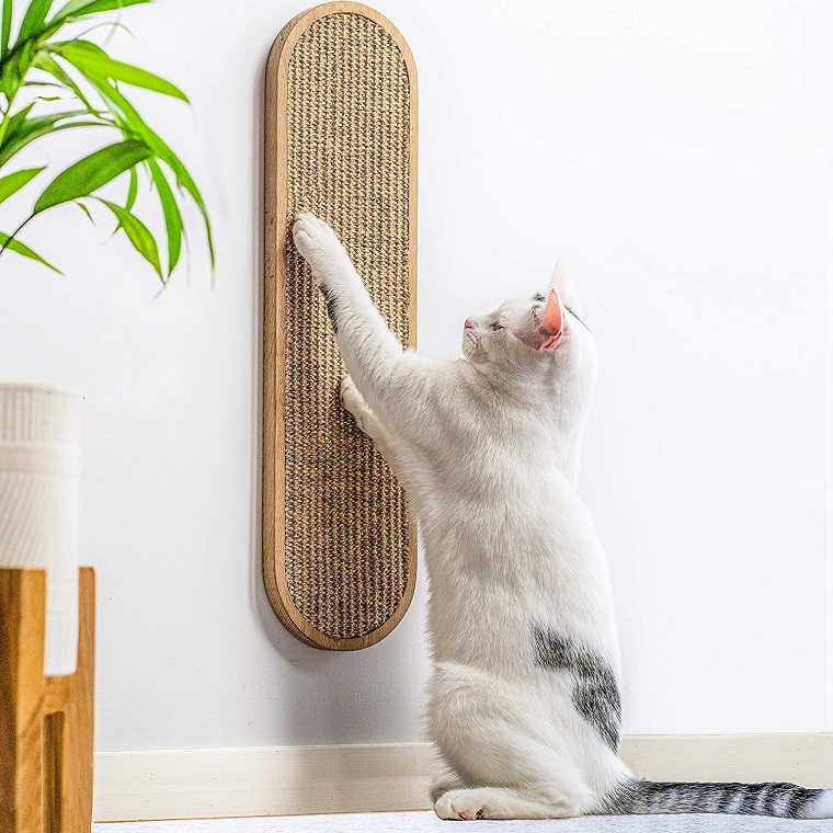 Cat Benefit from a Scratching Post