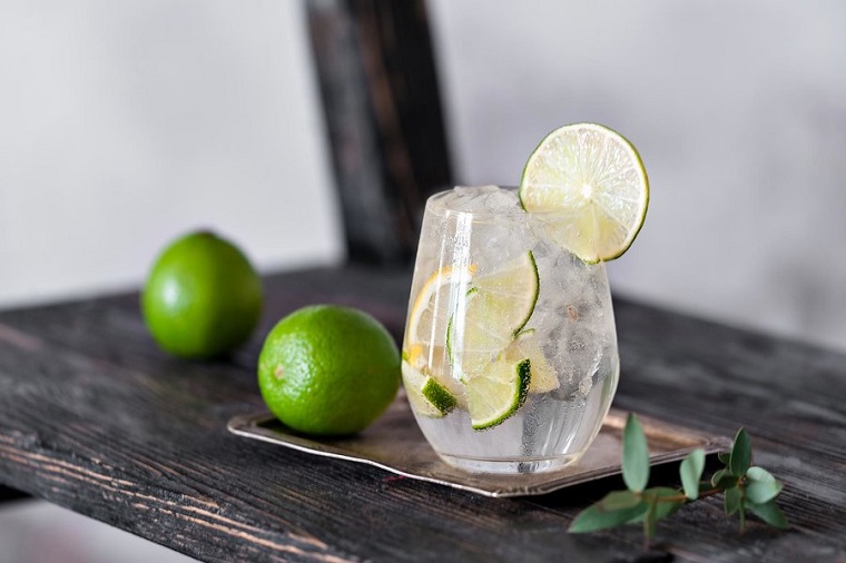 gin and tonic cocktail with lime