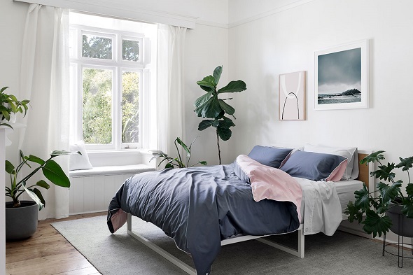 plants in nice decorated bedroom