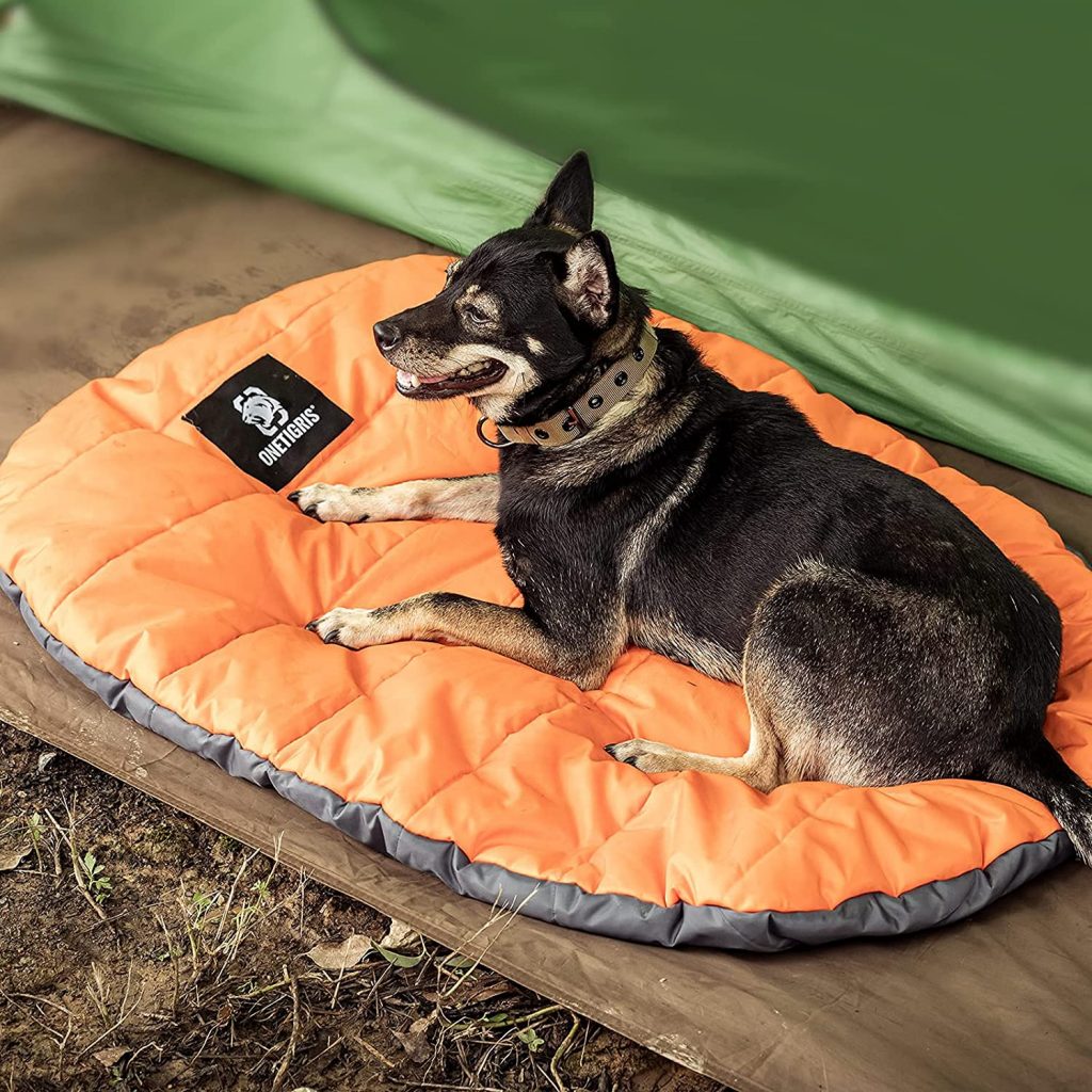 Dog laying on Travel dog Bed