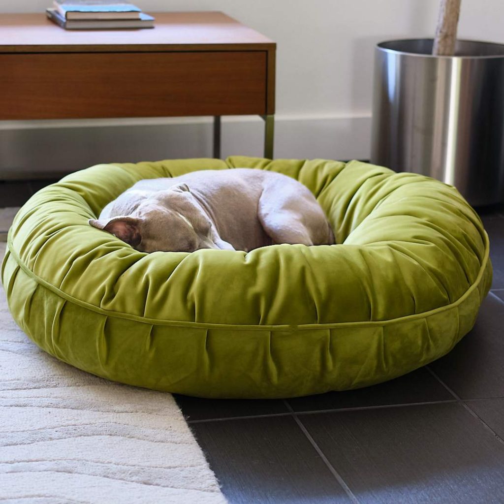 Dog sleeping on Doughnut Bed
