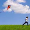 kids kites