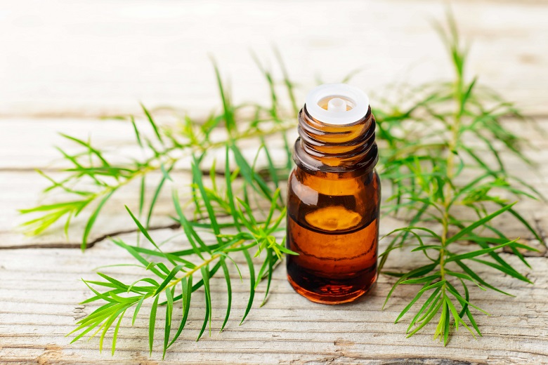 picture of a bottle of essential oil on a wooden table beside a tea tree