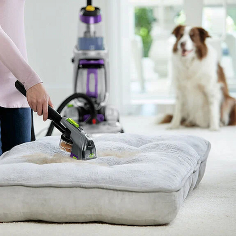 cleaning your dog bed