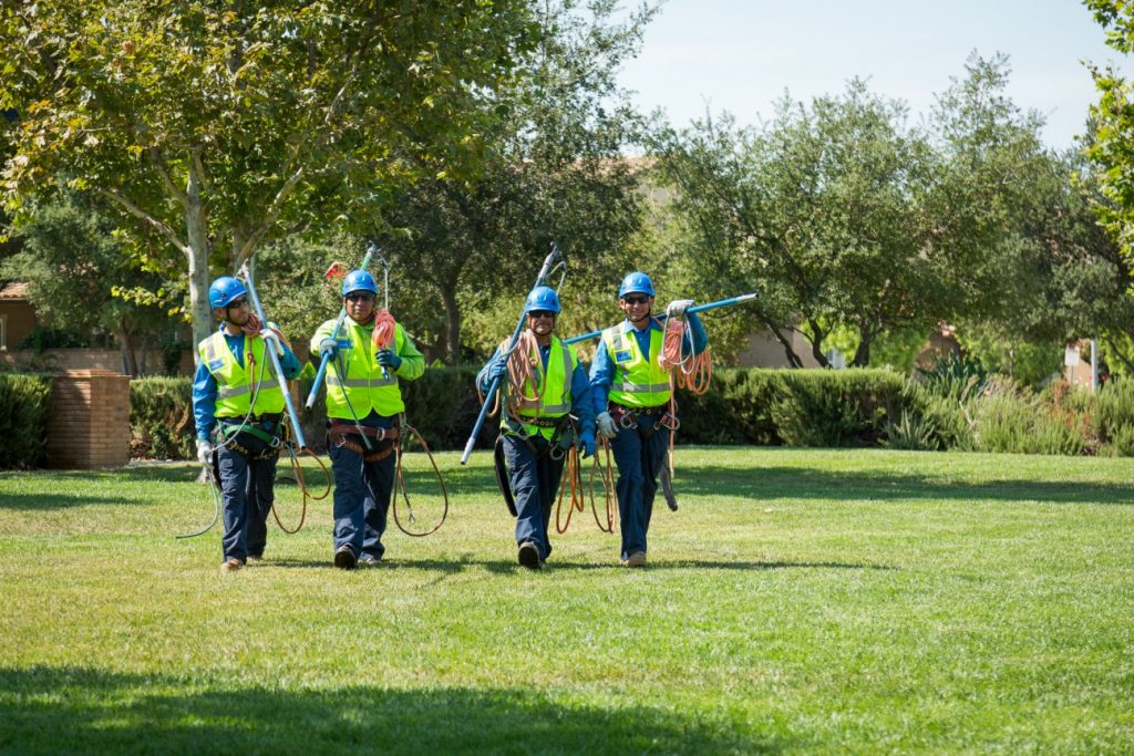 Speaking of dealing with things yourself, do you really want to spend your weekend pruning trees when you could be doing something else? Do you have the energy to lug around heavy equipment, not to mention the time it would take to learn how to use it properly?