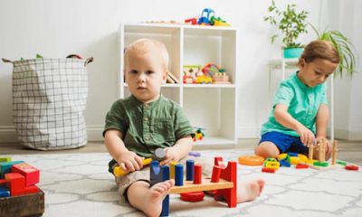 The Benefits of Montessori Toys: Developing Skills through Play