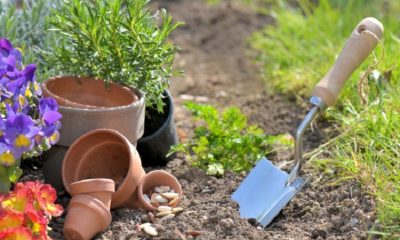 Garden trowel