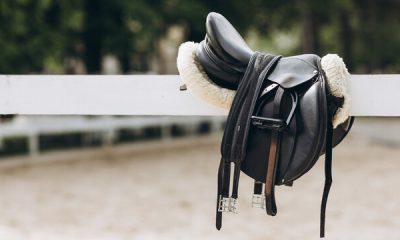 english saddle