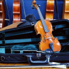 Case For Violins