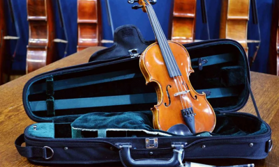 Case For Violins